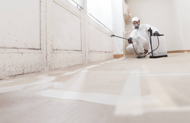 24/7 Emergency Black Mold Remediation experts in Louisburg, NC