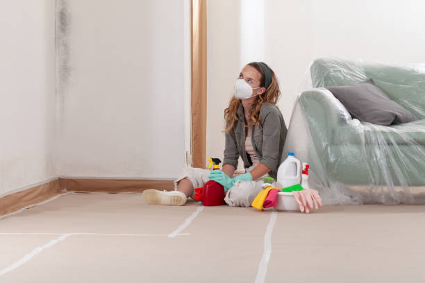 Reliable Black Mold Remediation contractor in Louisburg, NC by 24 Hour Mold Removal